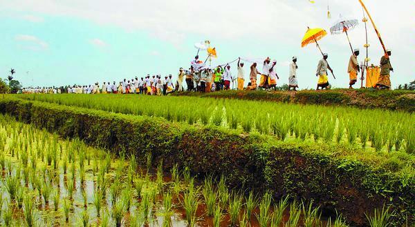 Makna Upacara Nangluk Merana pada Sasih Kanem