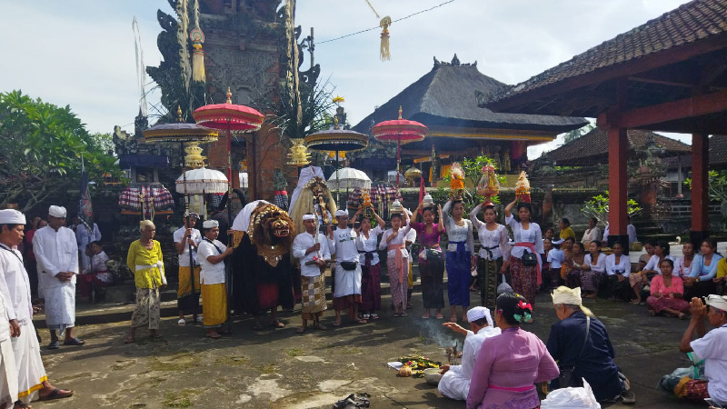 Pujawali Alit Pura Penataran Agung Dalem Dimade Guliang Kangin